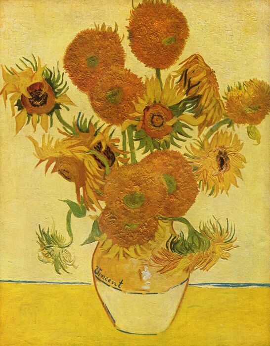 vase with fifteen sunflowers(向日葵)